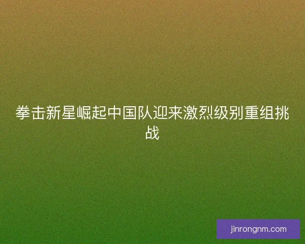 拳击新星崛起中国队迎来激烈级别重组挑战